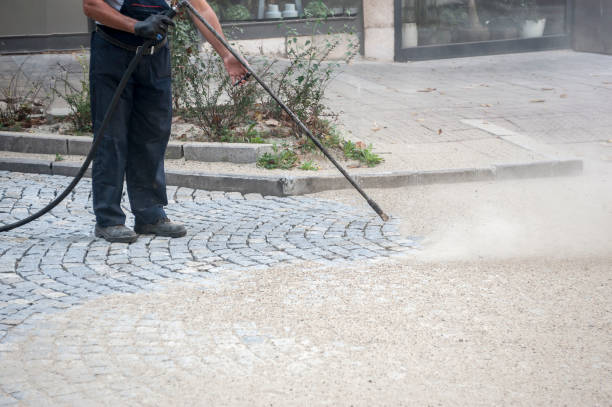 Best Boat and Dock Cleaning  in Westke, LA